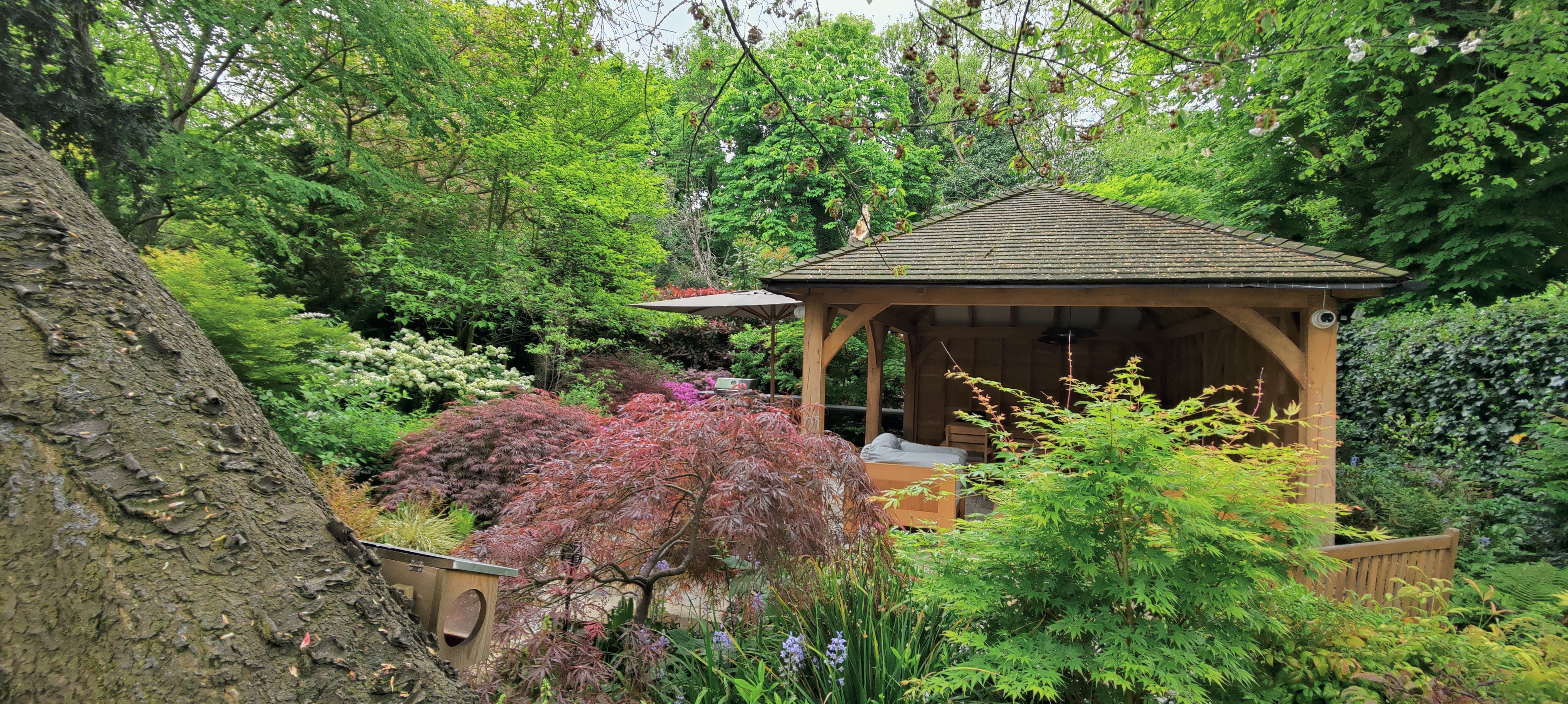 Professional zen garden design with stone pathway and Japanese maple trees - example of Radi Landscapes garden design work in East London